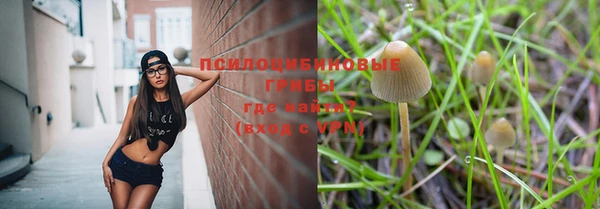PSILOCYBIN Алексин