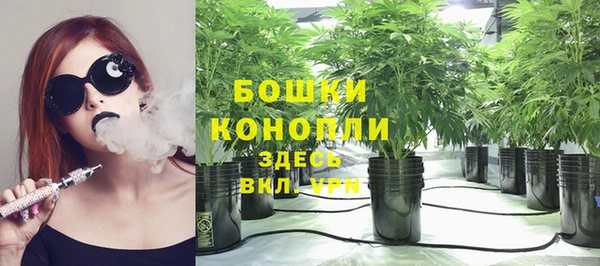 ПСИЛОЦИБИНОВЫЕ ГРИБЫ Алзамай