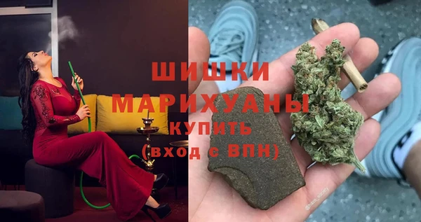 ПСИЛОЦИБИНОВЫЕ ГРИБЫ Алзамай