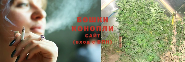ПСИЛОЦИБИНОВЫЕ ГРИБЫ Алзамай