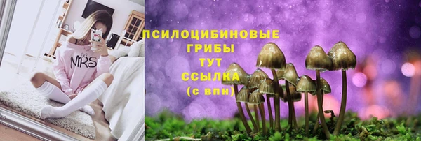 PSILOCYBIN Алексин