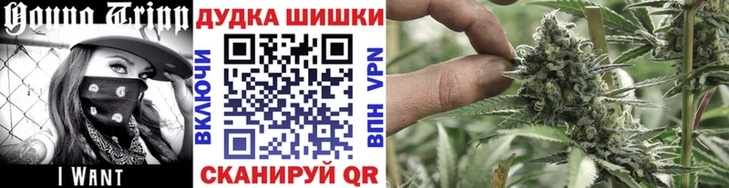 где найти наркотики  Медынь  Марихуана MAZAR 